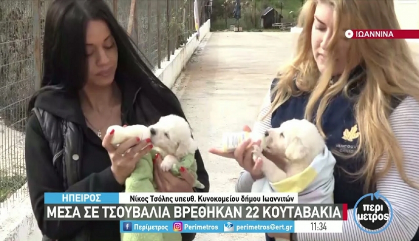 Γιάννενα: Σε ασφυκτικά δεμένο τσουβάλι βρέθηκαν 22 κουταβάκια