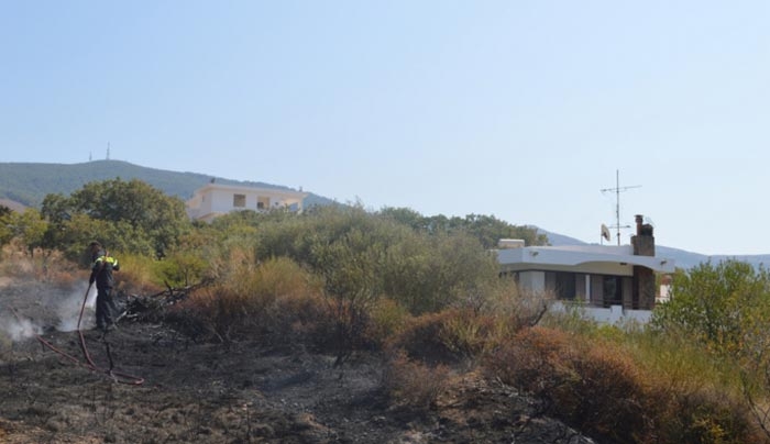 Ανησυχητική ΦΩΤΙΑ στον Ηρακλή κοντά σε κατοικίες - Κάηκαν 20 στρέμματα (φωτό-βίντεο)