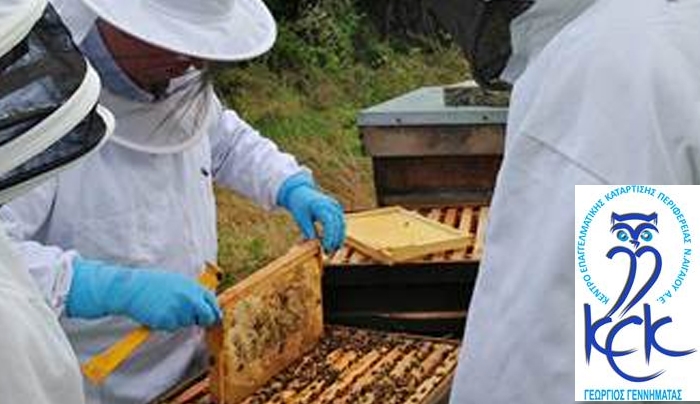 Σεμινάριο μελισσοκομίας στην Κω