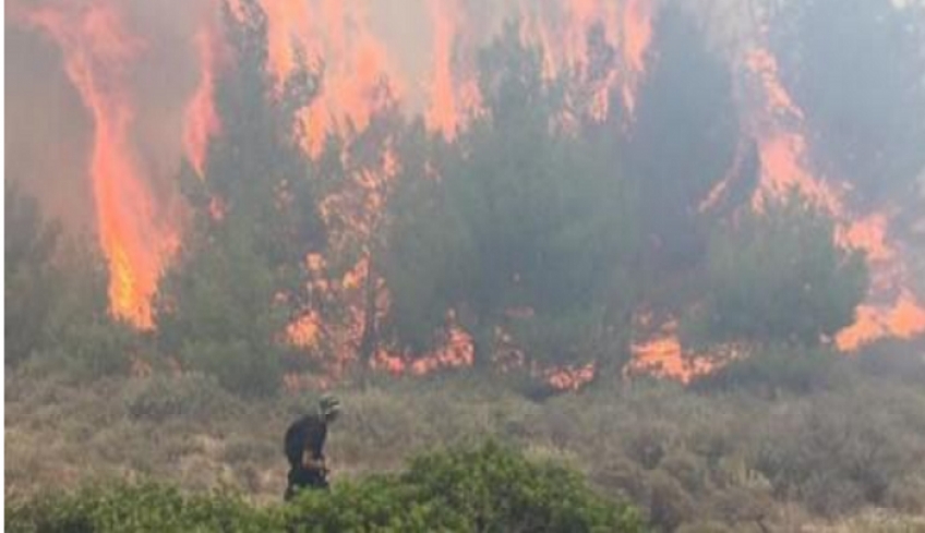 ΚΑΘΑΡΙΣΜΟΣ ΟΙΚΟΠΕΔΩΝ ΣΥΣΤΑΣΕΙΣ ΚΑΙ ΑΠΑΓΟΡΕΥΣΕΙΣ ΠΥΡΟΣΒΕΣΤΙΚΗΣ