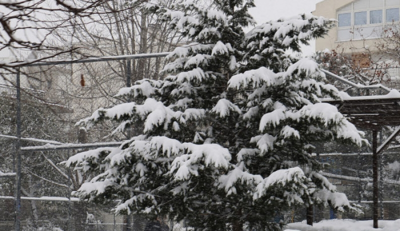 Επέλαση του χιονιά στην χώρα: Στα λευκά Φθιώτιδα, Λάρισα και Αχαΐα [βίντεο]