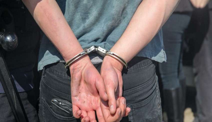 Συνελήφθη άνδρας για θανάτωση ζώου συντροφιάς στη Ρόδο