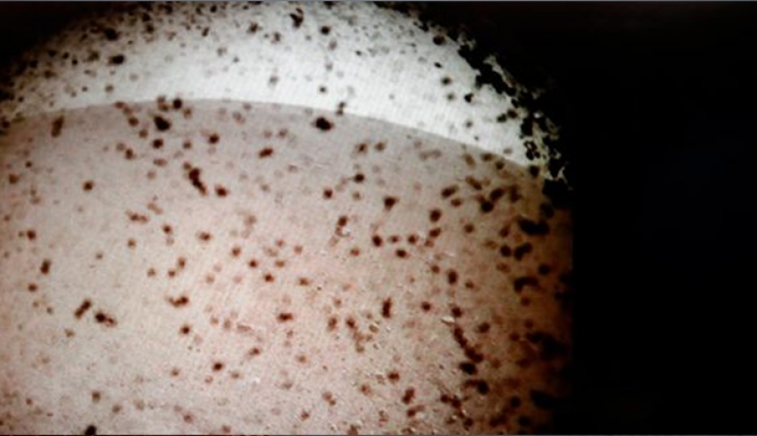 Ιστορική στιγμή: Η πρώτη εικόνα που έστειλε το InSight από τον πλανήτη Αρη