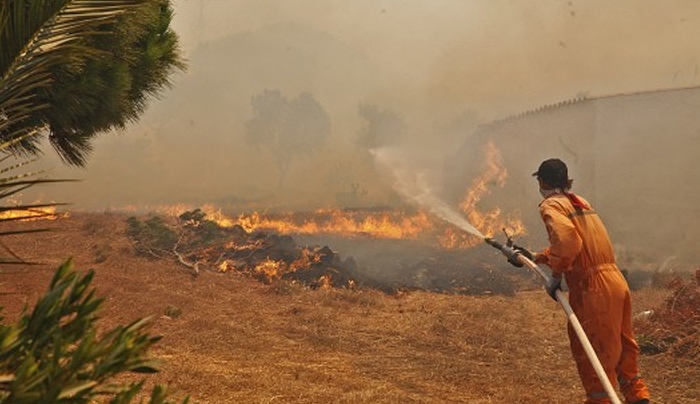 Φωτιές: Σε ύφεση τα πύρινα μέτωπα στην Πελοπόννησο - &quot;Καμπανάκι&quot; της Πυροσβεστικής