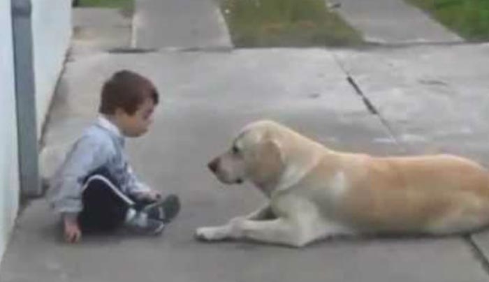 Πόση αγάπη μπορεί να δώσει ένα σκυλί σε ένα παιδί με σύνδρομο Down; (Βίντεο)