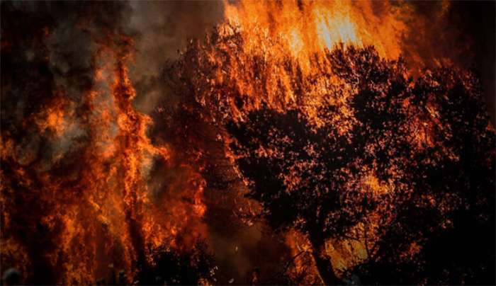 Πολύ υψηλός κίνδυνος πυρκαγιάς σήμερα στις Περιφέρειες Κρήτης και Νοτίου Αιγαίου