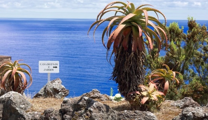 Η Ελλάδα μπορεί να διεκδικήσει μειωμένο ΦΠΑ σε νησιά- τι δείχνει η πρακτική σε ευρωπαϊκά νησιά