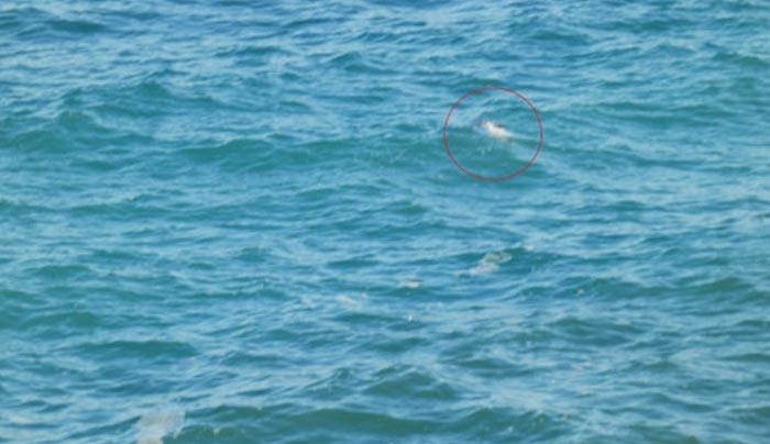 Χανιά: Κοίταξε στη θάλασσα και είδε αυτό το πτώμα άντρα να επιπλέει - Οι εικόνες που &#039;&#039;πάγωσαν&#039;&#039; την κοπέλα [pics]