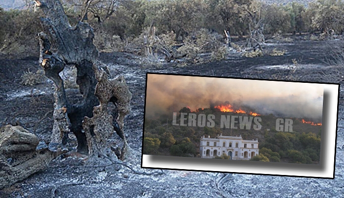ΛΕΡΟΣ: Υπό έλεγχο η πυρκαγιά - Αναταραχή στο hotspot (βίντεο)