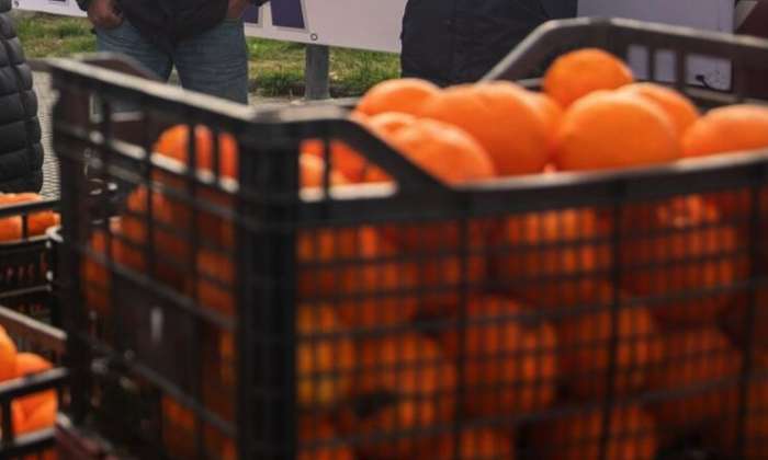 Ακρίβεια: «Ξινά» τα πορτοκάλια - Πάνω από 2,5 ευρώ το κιλό