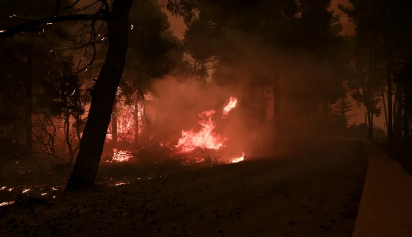 Φωτιές: Η πύρινη λαίλαπα έκαψε πάνω από 650.000 στρέμματα γης