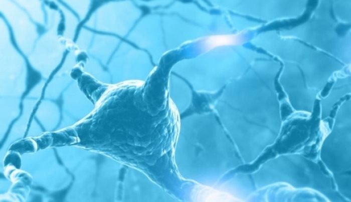Συνθετικός ιστός που μιμείται τα νεύρα ανοίγει το δρόμο για τα βιονικά εμφυτεύματα