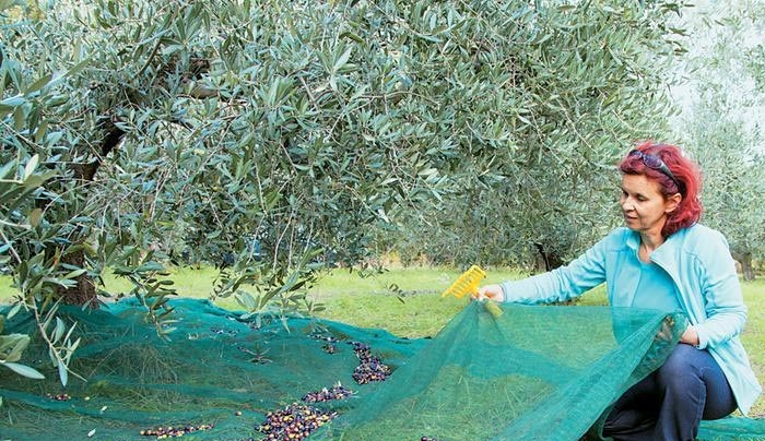 Τα αγροτικά προϊόντα νικούν την κρίση