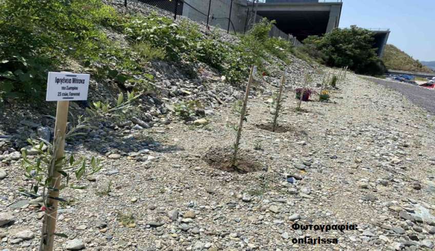 Εθνική τραγωδία στα Τέμπη: Φύτεψαν δένδρα με τα ονόματα των θυμάτων