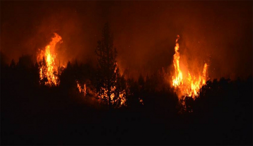 Νύχτα-θρίλερ στην Πάτρα: Κοντά στα σπίτια η φωτιά στα Συχαινά