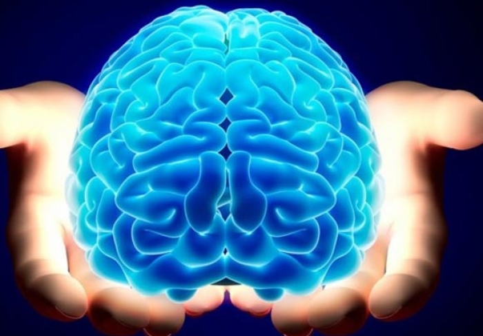 Ανακάλυψαν τις δύο «πηγές νοημοσύνης» στον ανθρώπινο εγκέφαλο