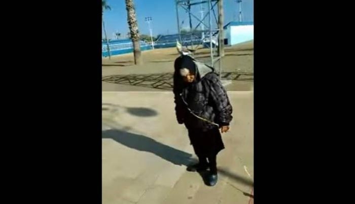 Γιαγιά αποφάσισε πως είναι καλή ιδέα να βγάλει βόλτα τα παπαγαλάκια της με… λουρί! (βίντεο)
