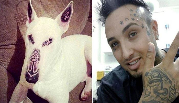Έκανε στο σκύλο του πέντε τατουάζ και προκάλεσε παγκόσμια θύελλα αντιδράσεων