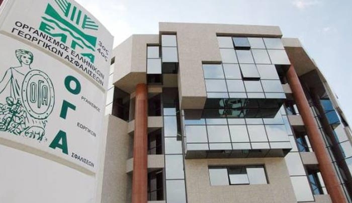 Οικογενειακά επιδόματα: Σήμερα η καταβολή τους από τον ΟΓΑ, αλλά στο... μισό!