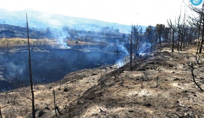 Κάηκαν πάνω από 22.000 στρέμματα στη Ρόδο
