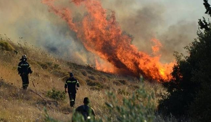 ΦΩΤΙΑ στην Αντιμάχεια: Κάηκαν 20 στρ. χορτολιβαδικής έκτασης