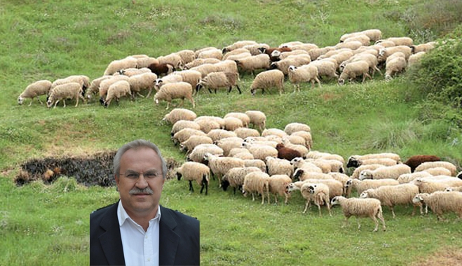 Δ.Γάκης: Mεγάλα προβλήματα που αντιμετωπίζει η κτηνοτροφία στις ευαίσθητες ορεινές, ημιορεινές και νησιωτικές περιοχές της Ελλάδας