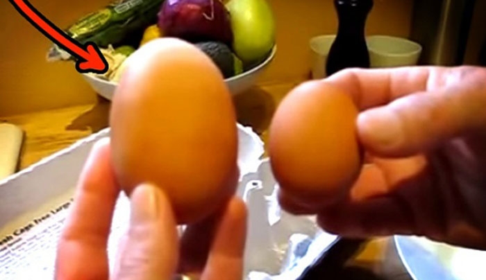 Η κότα τους γέννησε αυτό το ΤΕΡΑΣΤΙΟ αυγό. Δείτε τι βρήκαν μέσα σε αυτό, όταν το έσπασαν…(Βίντεο)
