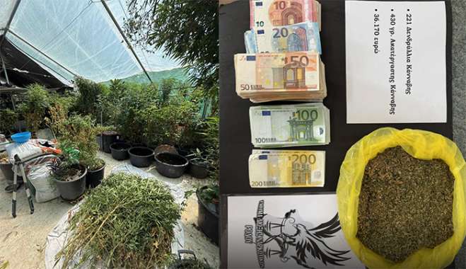 Συνελήφθη στη Ρόδο 52χρονος για διακίνηση ναρκωτικών και καλλιέργεια κάνναβης