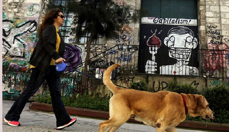 Πρόστιμο 30.000 ευρώ σε 62χρονο στην Κέρκυρα που περιέλουσε με πετρέλαιο σκύλο
