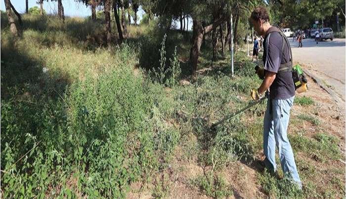 Βαριά "καμπάνα" για όσους δεν καθαρίζουν τα οικόπεδά τους - Πρόστιμα και για απλήρωτους λογαριασμούς ηλεκτρικού