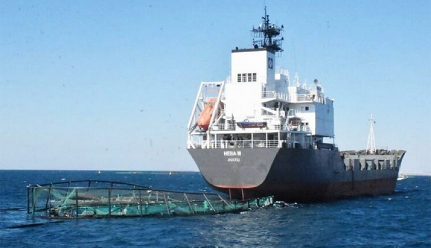 Φορτηγό πλοίο κατέστρεψε ιχθυοκαλλιέργεια στον κόλπο Γκιουλούκ απέναντι από το Φαρμακονήσι – Υπολογίζεται ότι διέφυγαν 1 εκατομμύριο ψάρια!