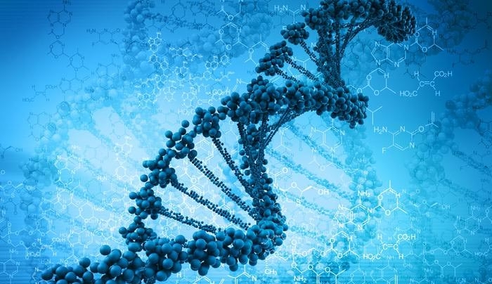 Eπιστήμονες αποθήκευσαν στο DNA... λειτουργικό σύστημα: μία γαλλική ταινία, μία δωροκάρτα, έναν ιό υπολογιστή και ένα βιβλίο!