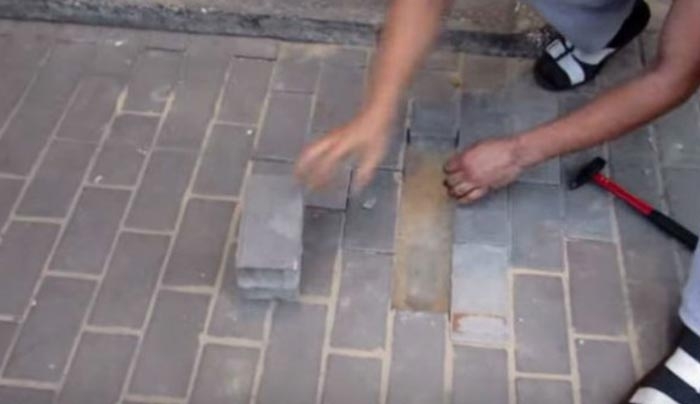 ΚΤΗΝΗ έθαψαν ζωντανή έγκυο σκυλίτσα κάτω από πεζοδρόμιο!! (Βίντεο)