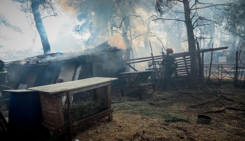 Εύβοια: Σε χαράδρα η φωτιά, ενισχύθηκαν οι πυροσβεστικές δυνάμεις