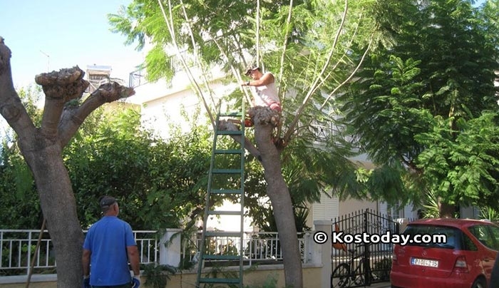 Δήμος Κω: Προγραμματισμένες εργασίες από Δευτέρα 29-01-2018 έως Παρασκευή 02-02-2018