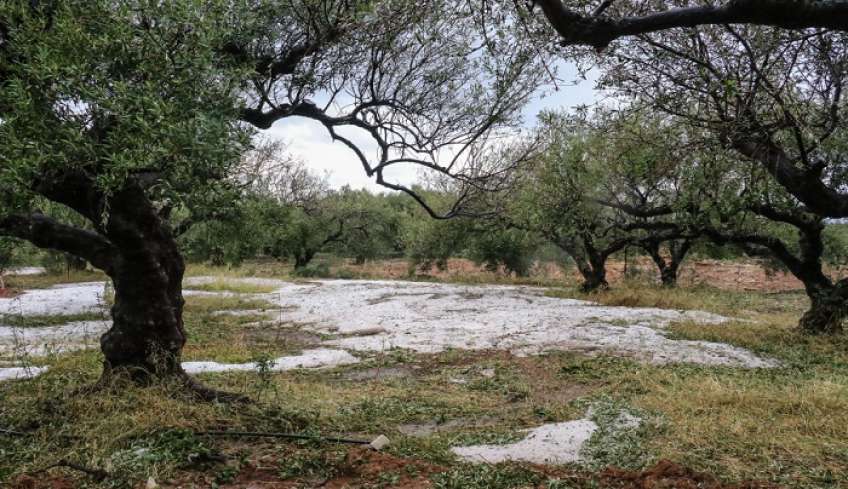 Εύβοια-κακοκαιρία: Χαλάζι «σφυροκόπησε» την Ερέτρια, αστραπές «φώτισαν» τη νύχτα (βίντεο)