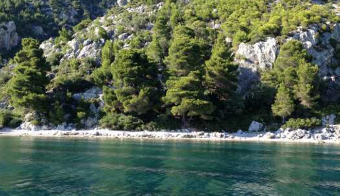 Το ψάρι γίγαντας που έπιασε 17χρονος στο Βόρειο Ευβοϊκό (φωτο)