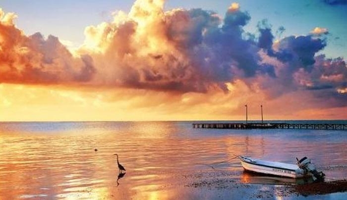 Τα ζώδια σήμερα 30 Μαρτίου- Ταύρε, η Σελήνη έχει περάσει στο ζώδιο σου και θα επηρεάσει τη διάθεση σου καθώς θα προκαλέσει συναισθηματικές μεταβολές.