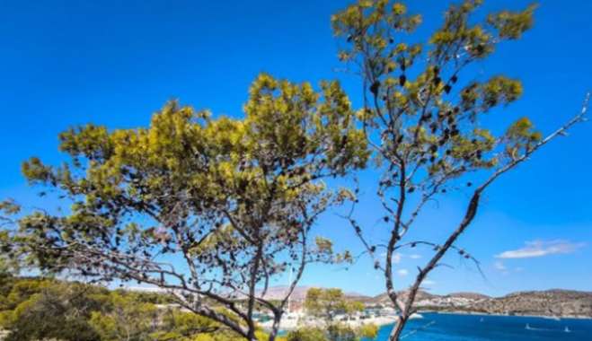 Καιρός σήμερα: Τοπικές βροχές και ισχυρά μποφόρ στο Αιγαίο