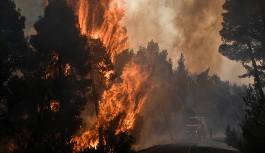 Πυρκαγιά στην Εύβοια: ολονύχτια μάχη σε 4 πύρινα μέτωπα μέχρι τις πρωινές ώρες