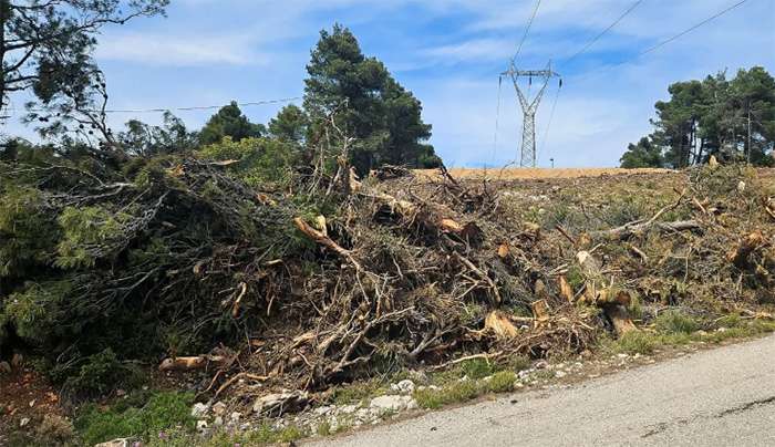 Ακαθάριστο οικόπεδο  INTIME NEWS / ΜΑΚΡΗΣ ΝΙΚΟΣ