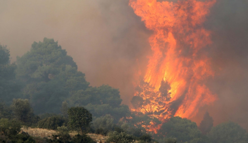 Ολονύχτια μάχη με τις φλόγες στη Σιθωνία – Συνεχίζεται η προσπάθεια κατάσβεσης [βίντεο]