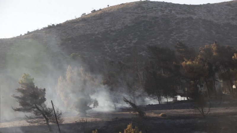 Φωτιά Αττική: Ποινική δίωξη για κακούργημα κατά του 35χρονου για τους εμπρησμούς στον Μαραθώνα