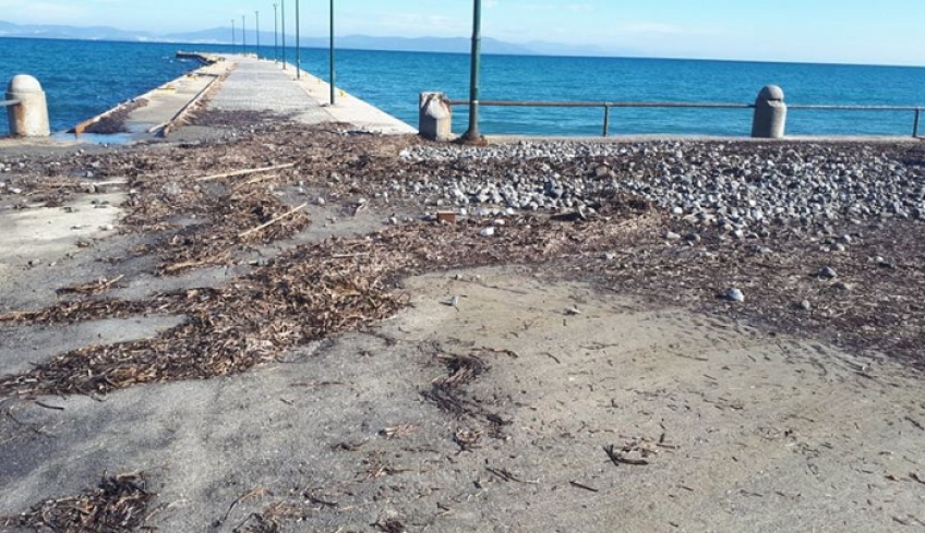 Δήμος Κω: Καθαρισμός του χώρου στάθμευσης στη σκάλα Πολεμικού