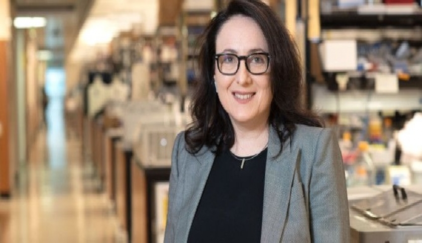 Κατερίνα Ακάσογλου: Η ερευνήτρια που κατάφερε να «φρενάρει» τη σκλήρυνση κατά πλάκας σε μελέτες