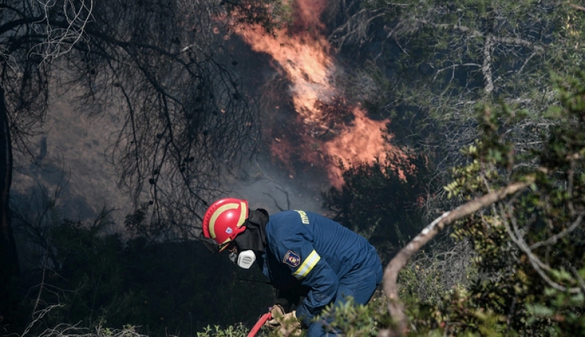Συστήνονται Ειδικές Μονάδες Δασικών Επιχειρήσεων με την πρόσληψη 500 "δασοκομάντος"
