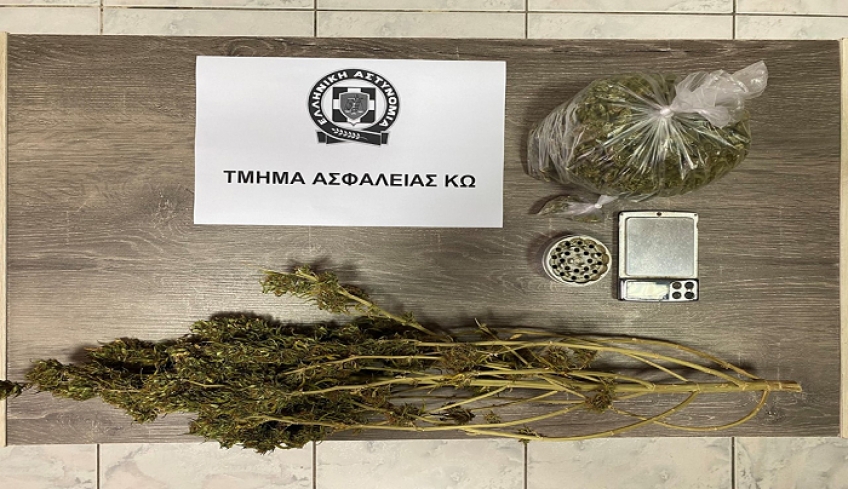 Συνελήφθη ημεδαπός για διακίνηση κάνναβης στην Κω