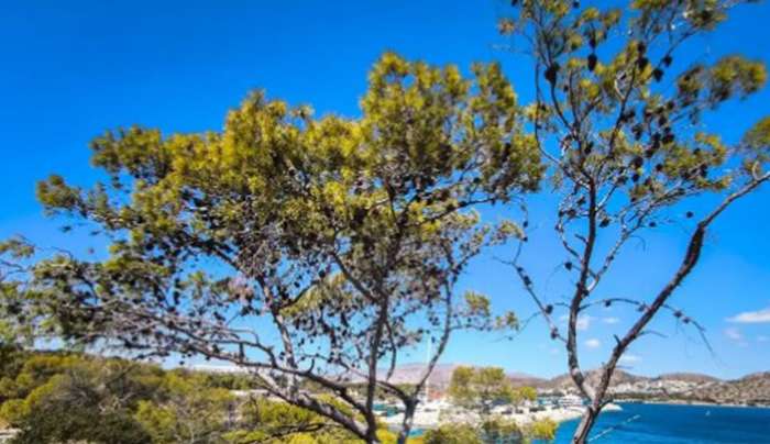 Καιρός σήμερα: Ήλιος στη μισή Ελλάδα, συννεφιά και βροχές στην υπόλοιπη, αναλυτική πρόγνωση