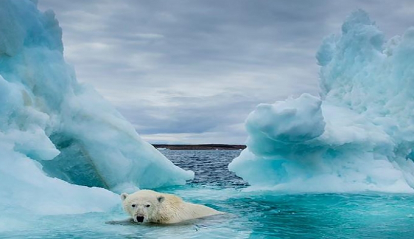 Παγκόσμια υπερθέρμανση: Στο “κόκκινο” ο Αρκτικός Κύκλος, άγγιξε τους 38 βαθμούς Κελσίου